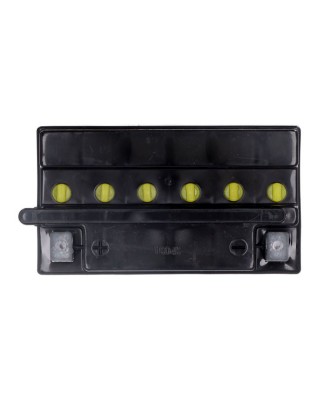 Yuasa, Yumicron battery