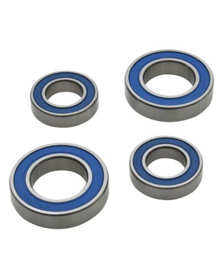 All Balls wheel bearing kit, rear