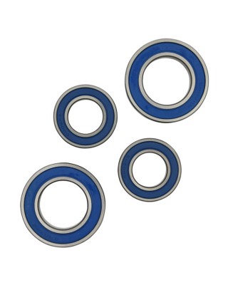 All Balls wheel bearing kit, rear