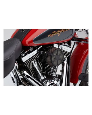 Cobra, Naked air cleaner kit Spoke. Black 17-21 Touring