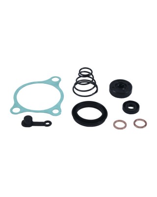 All Balls slave cylinder rebuild kit - clutch
