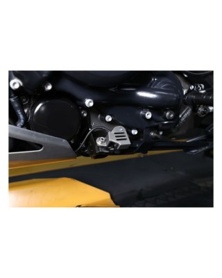 Dynojet, sidestand switch guard 20-22 RA1250 Pan America 21-22 RA1250S Pan America Special
