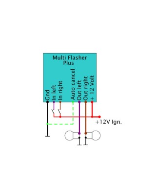 Axel Joost Elektronik, Multi Flash Plus