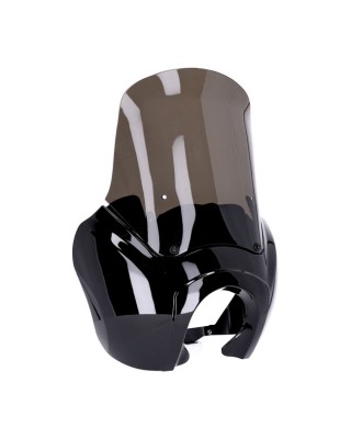 Headlamp fairing. Gloss...