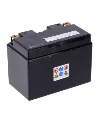 Yuasa, High performance AGM battery, YTZ12S