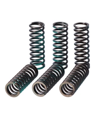 TRW clutch spring kit