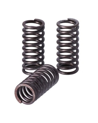 TRW clutch spring kit