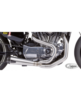 Two brothers racing comp-s...