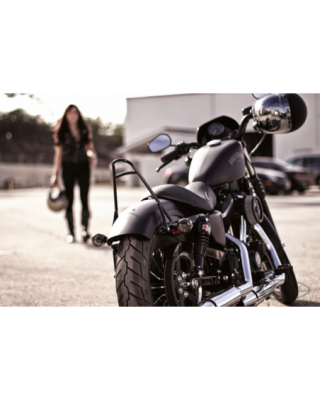Robust sissy bar for...
