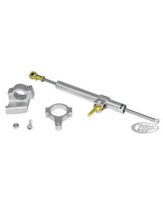Steering stabilizer kit