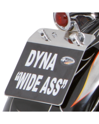 Mini license plate lights