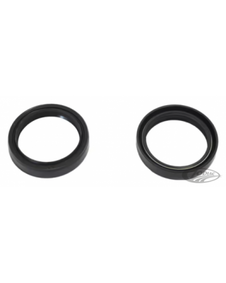 Zodiac front forks by mupo