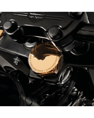 Black Duck Steering Stem Bolts