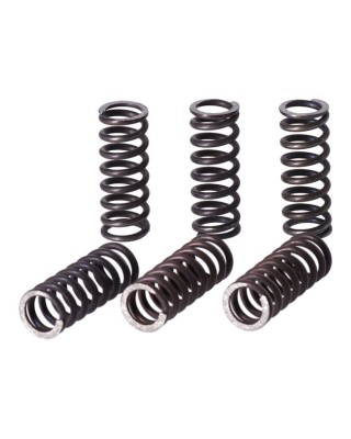 TRW clutch spring kit