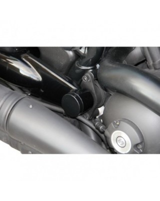 Swingarm Cover Black Anodized