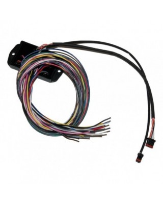 Bagger Can Bus Controller...