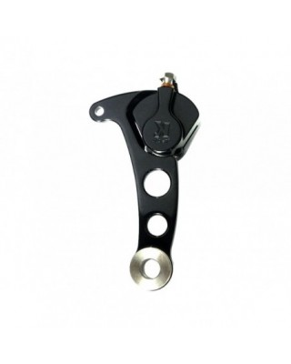 2-Piston Brake Caliper