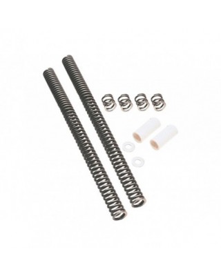Stock Length Fork Spring Kit