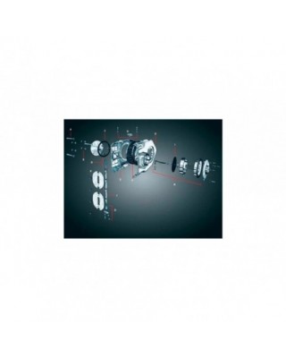 Trap Door Gasket