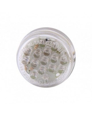 Disc LED Taillight LED