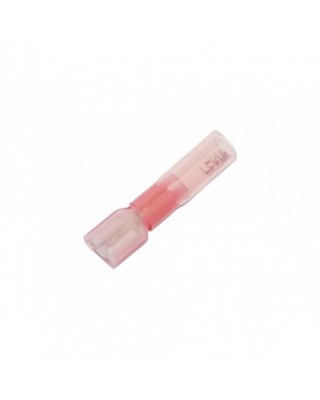 0,7-1,2 mm Femelle...
