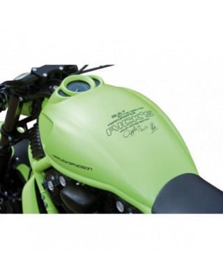 Race Airbox Cover