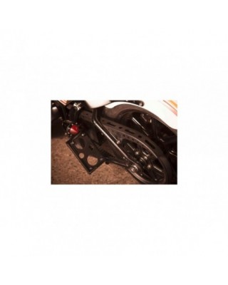 Vertical License Plate Kit...