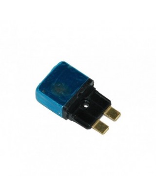 Replacement 15-Amp (Manual...