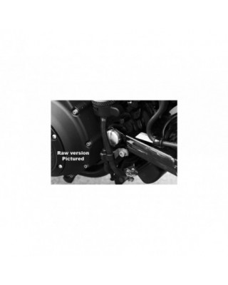 Swingarm Axle Cover Black...