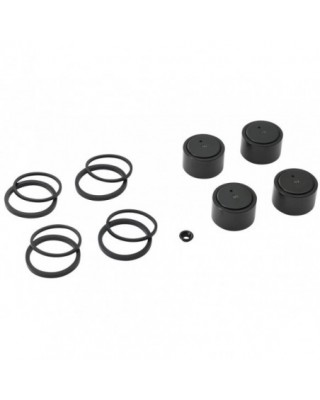 Brake Caliper Piston and...
