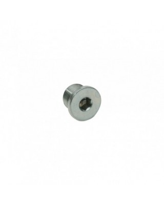 Sensor Bung Plug 12 x 1.25...