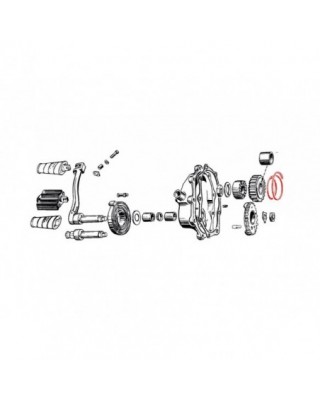 CLUTCH SPRING