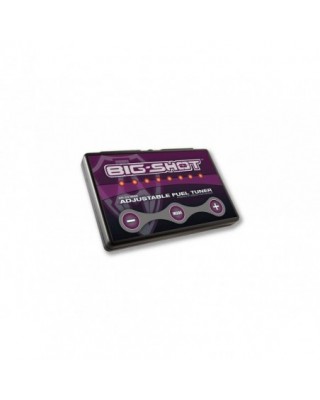 BIG SHOT 08 FLHT