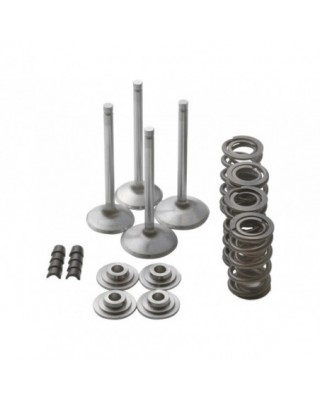 Race Master Valve Train...
