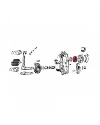 STARTER CLUTCH GEAR