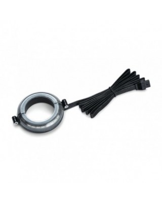Prism Roulette Wheel Light...