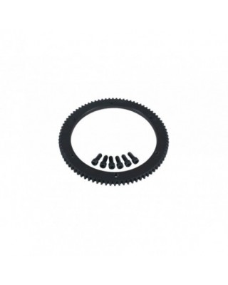 106T Ring Gear