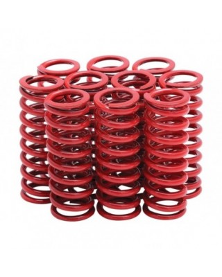 CLUTCH SPRINGS