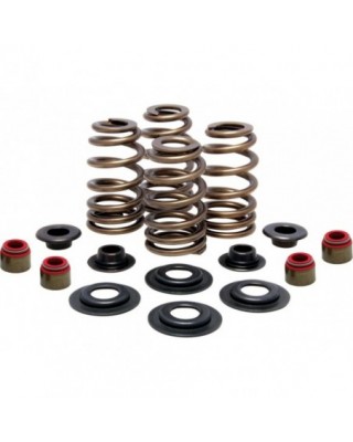 BEEHIVE VALVE SPRING KIT 600