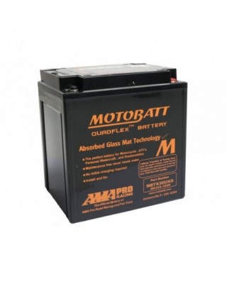 Quadflex AGM Battery AGM,...