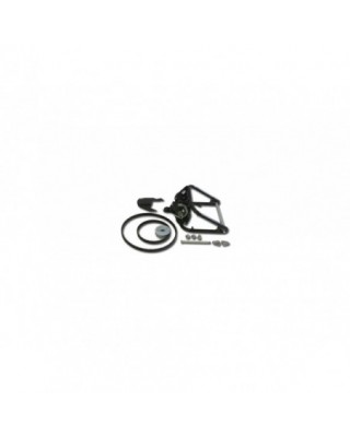 300 Trick n Roll Swingarm