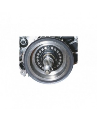 MEGA NUT with LOCK PLATE