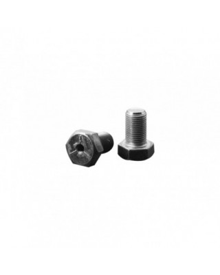 Steering Stem Bolt