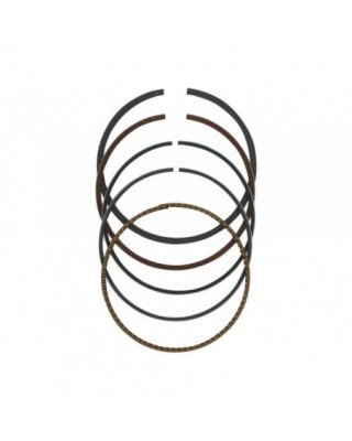 Moly Replacement Piston...