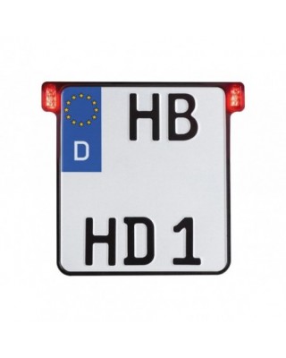 ALL-INN 2.0 License Plate...
