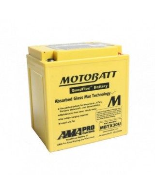 Quadflex AGM Battery AGM,...