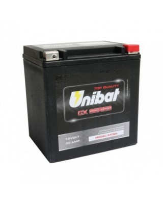 Batterie robuste CX30L AGM,...
