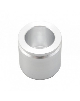 Brake Caliper Pistons...