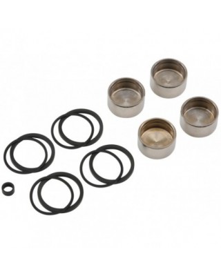 Brake Caliper Piston and...