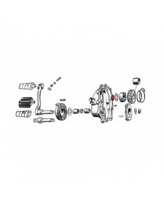 GEAR NUT
